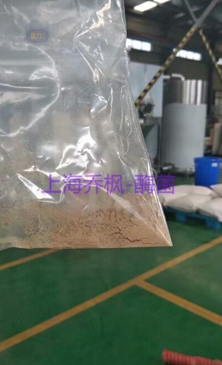 采用低溫噴霧干燥機(jī)做霉菌溶液干燥實(shí)驗(yàn)效果極佳